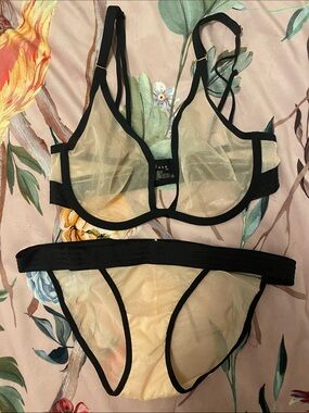 Sheer Mesh Underwire Bra & Brief Set in Nude Shimmer with Black Trim